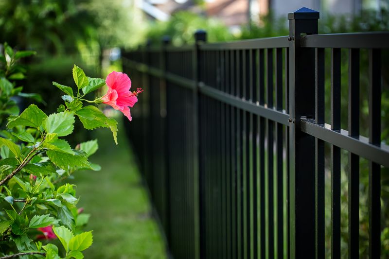 Aluminum Fence Painting