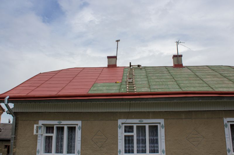 Metal Roof Painting