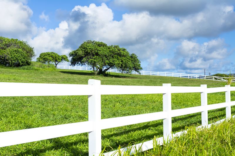 Best Fence Painting Contractors in Rosemount, MN