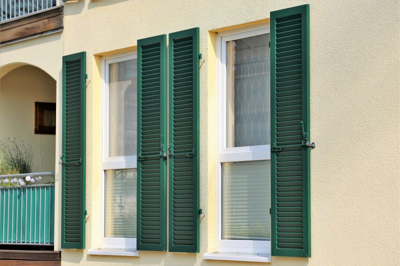 Vinyl Shutters Painting