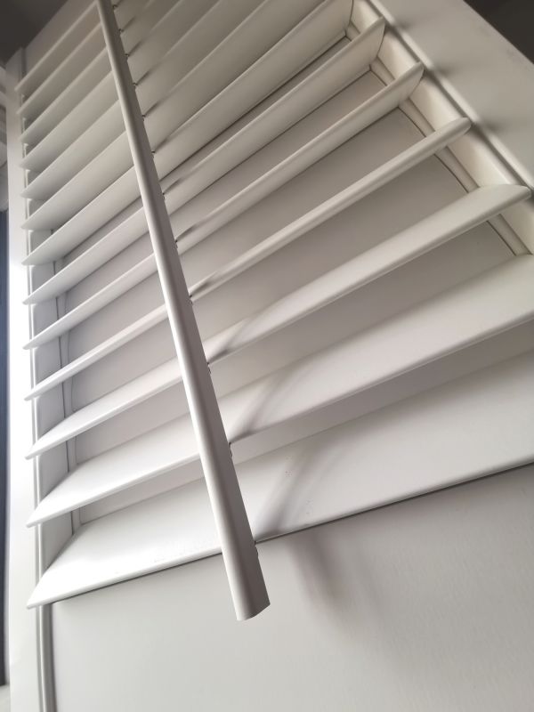 Window Shutters Painting